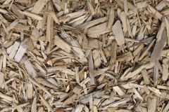 biomass boilers Woodcombe